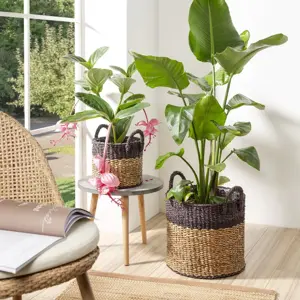 Handled Seagrass Two-Toned Planter Ø27cm - image 2