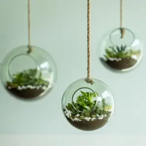 Hanging Glass Ball Terrarium - Large - image 2