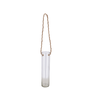 Hanging Glass Tube Terrarium - Small