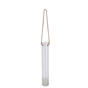 Hanging Glass Tube Terrarium - Medium - image 1
