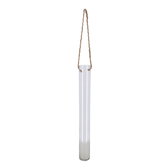 Hanging Glass Tube Terrarium - Large - image 1