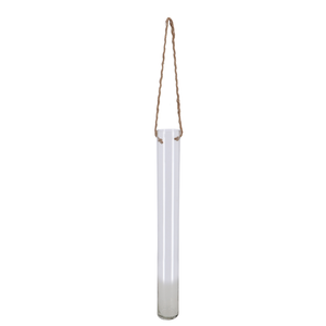 Hanging Glass Tube Terrarium - Large