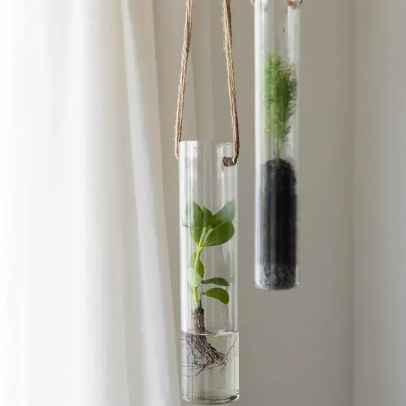 Hanging Glass Tube Terrarium - Small - image 2