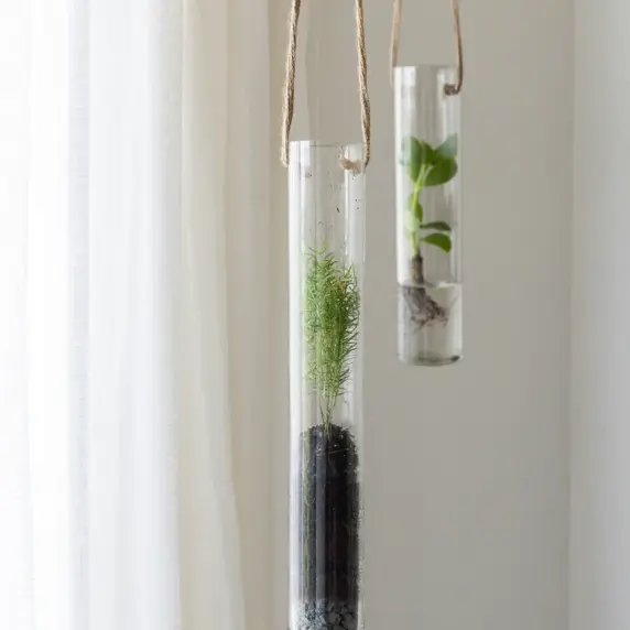 Hanging Glass Tube Terrarium - Medium - image 2