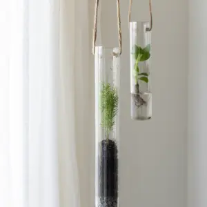 Hanging Glass Tube Terrarium - Medium - image 2