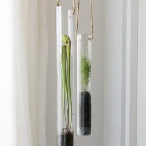 Hanging Glass Tube Terrarium - Large - image 2