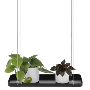 Rectangular Hanging Plant Tray - Black (S) - image 2