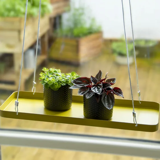 Rectangular Hanging Plant Tray - Gold (S) - image 1