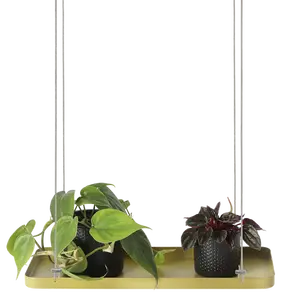 Rectangular Hanging Plant Tray - Gold (S) - image 2