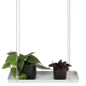 Rectangular Hanging Plant Tray - White (S) - image 2