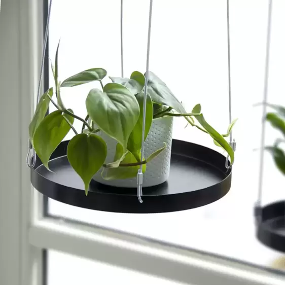 Round Hanging Plant Tray - Black (L) - image 6