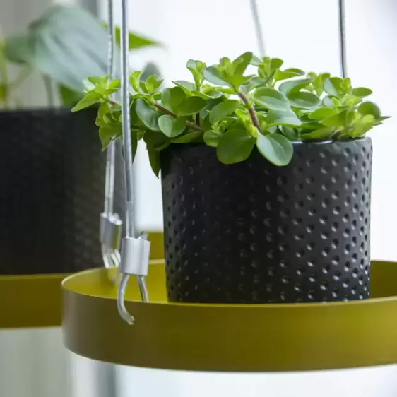 Round Hanging Plant Tray - Gold (S) - image 1