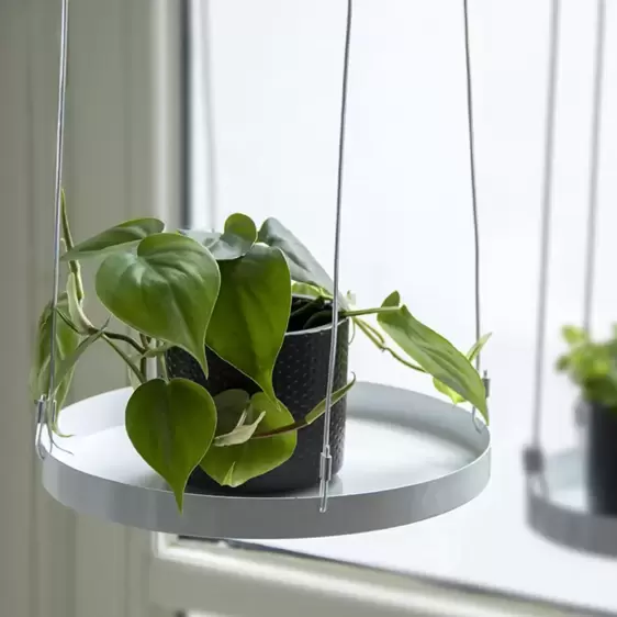 Round Hanging Plant Tray - White (L) - image 5