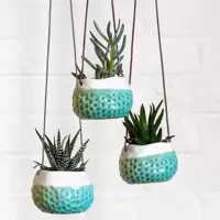 Hanging Pots