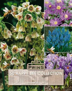 Happy Bee Bulb Collection