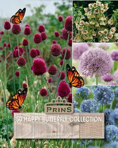 Happy Butterfly Collection
