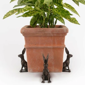 Hare Pot Feet - image 1