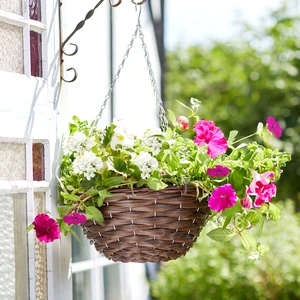 Hazel Hanging Basket - image 1