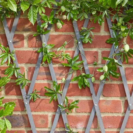 Heavy Duty Expanding Slate Trellis - 30cm - image 1