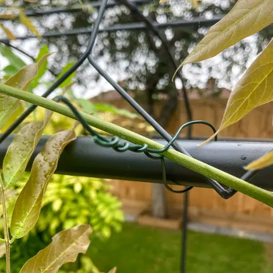 Heavy Duty Tying Wire 30m - image 2