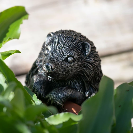 Hedgehog Pot Buddy - image 2