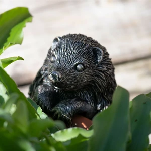 Hedgehog Pot Buddy - image 2