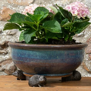 Hedgehog Pot Feet - image 2