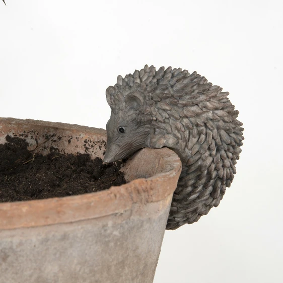 Hedgehog Pot Hanger