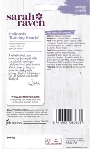Heliopsis Burning Hearts - image 2