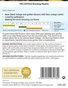 Heliopsis Burning Hearts Seeds - image 2