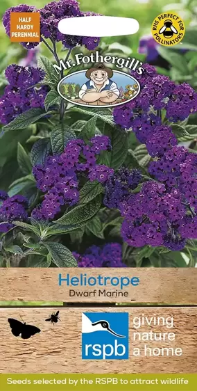 Heliotrope Dwarf Marine - image 1