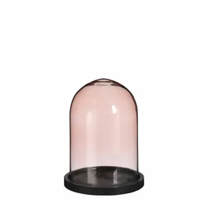 Hella Pink Terrarium Cloche