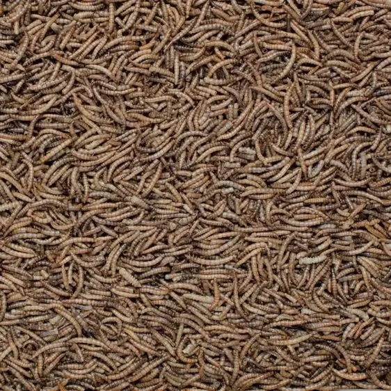 Henry Bell Mealworm 1Kg - image 2