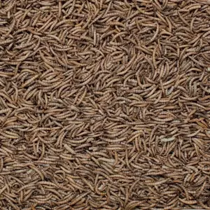Henry Bell Mealworm 100g - image 2