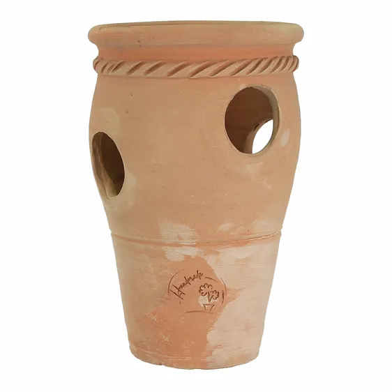 Herb & Strawberry Pot Ø28cm