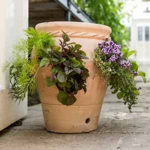 Herb & Strawberry Pot Ø35cm - image 2