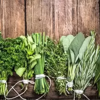 Herbs