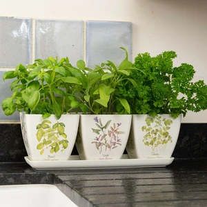 Herbs Eco Pot Set