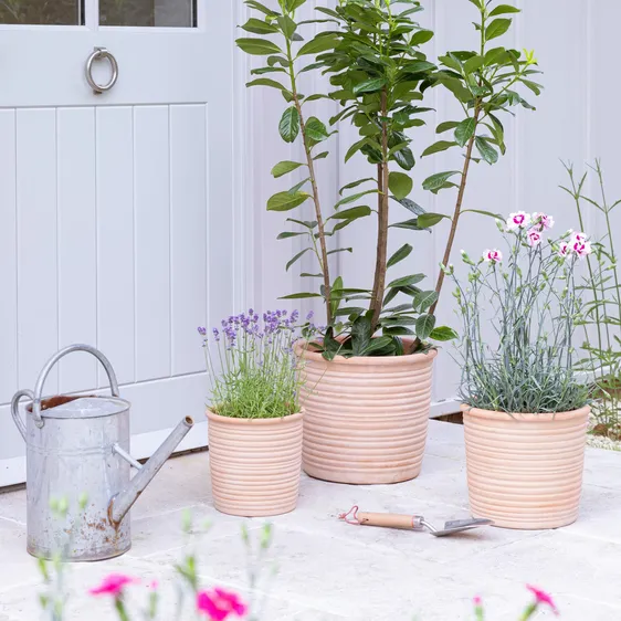 Ivyline Hillcrest Ripple Planter Ø24cm - image 1