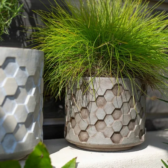 Hive Cylinder Pot Ø19cm - image 4