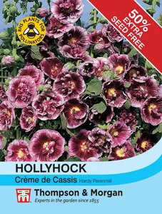Hollyhock Creme de Cassis - image 1