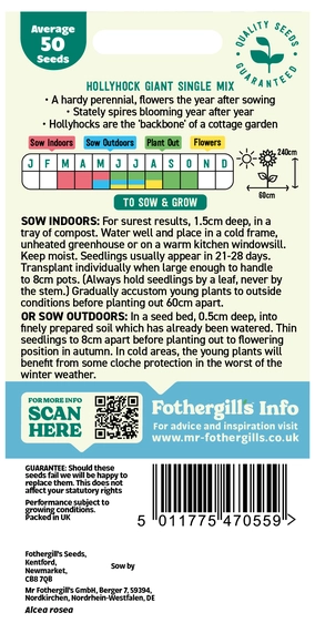 Hollyhock Giant Single Mixed - image 2