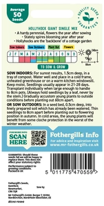 Hollyhock Giant Single Mixed - image 2