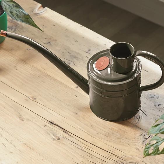 Home & Balcony Watering Can - Slate