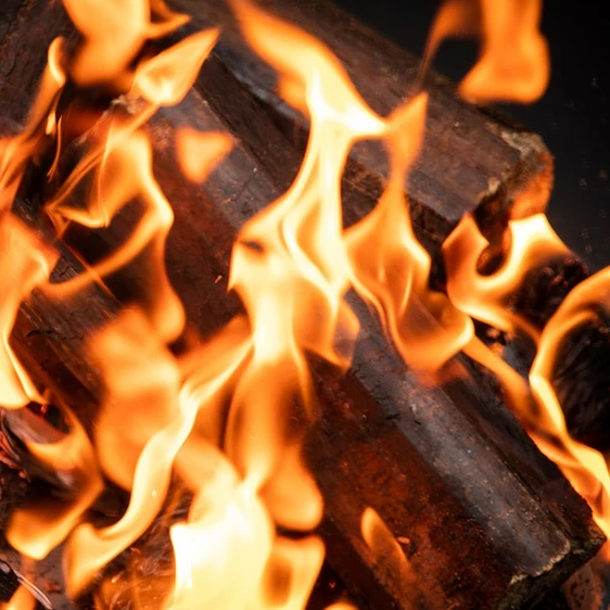 Homefire Shimada Heat Logs - image 2