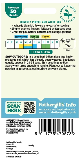 Honesty Purple And White Mixed - image 2