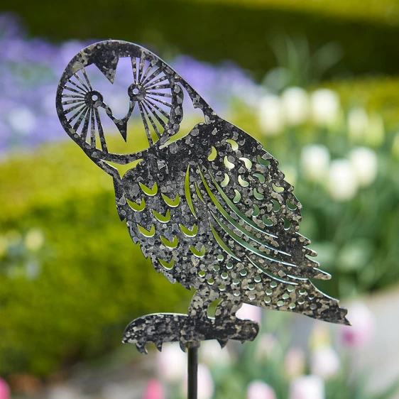 Hoots Owl Plant Stake