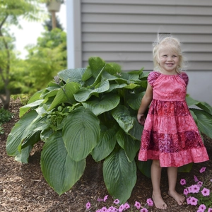 Image Credit: Walters Gardens, Inc