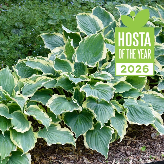 Image Credit: Walters Gardens, Inc.
