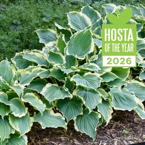 Image Credit: Walters Gardens, Inc.
